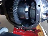 Bolts in case.webp
