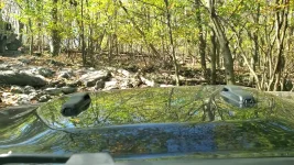 VideoCapture_20241005-203411.webp