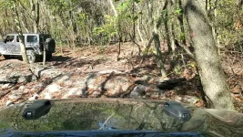 VideoCapture_20241005-203343.webp