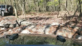 VideoCapture_20241005-204116.webp