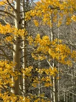 IMG_6680.webp
