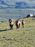 IMG_7750[1].webp
