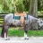 TX Duke 392