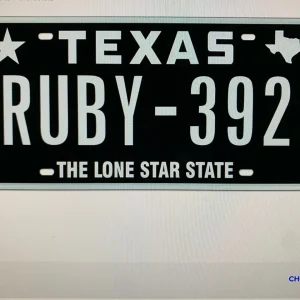 392License.jpg