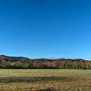 DSC06232_3_Optimizer copy.jpg