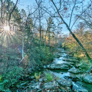 DSC06227_8_9_Balancer copy.jpg