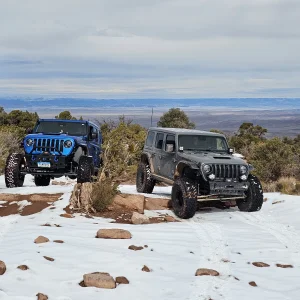 Top of The World  2-16-25.webp