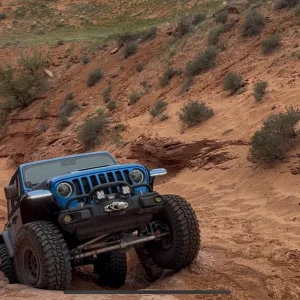 IMG_1935.webp