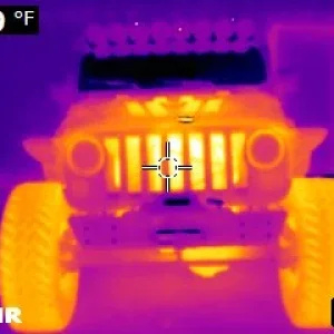 FLIR0255.webp