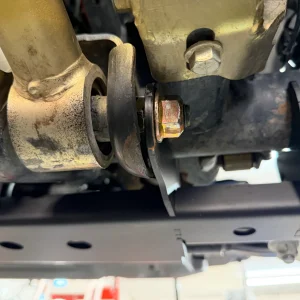 IMG_3913.webp