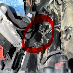 IMG_5540.webp