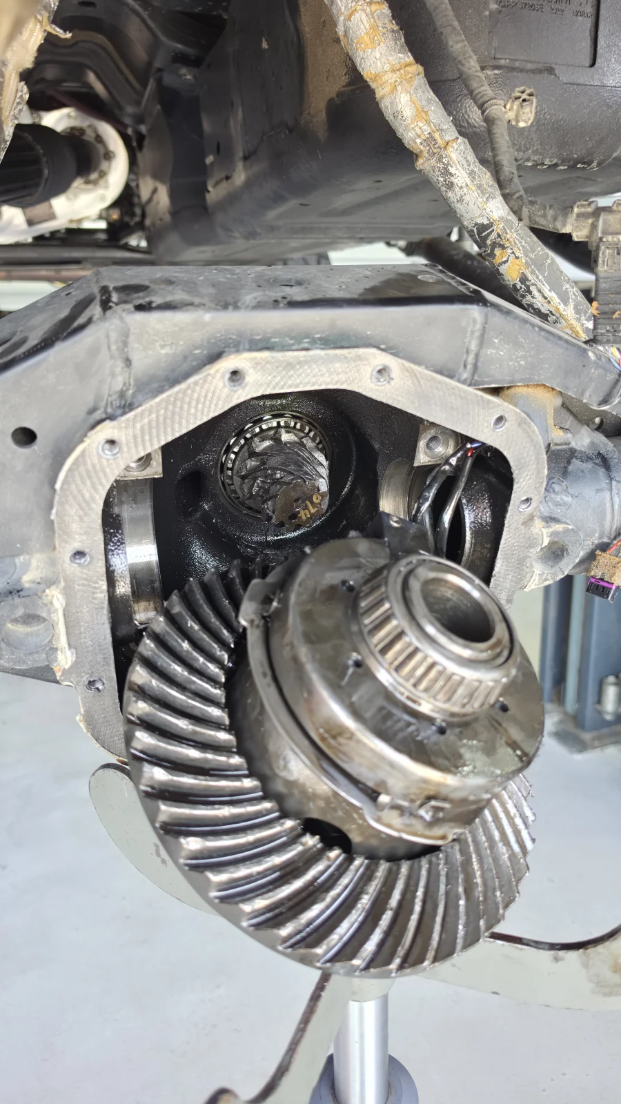 43337.webp | Jeep 392 Forum