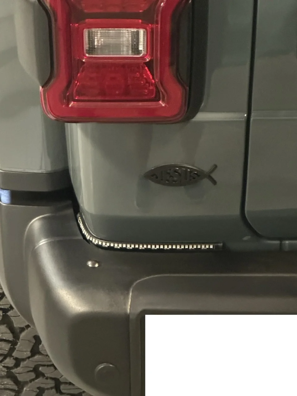 IMG_5067 Large-.webp